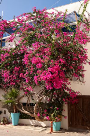 Naxos Griechenland