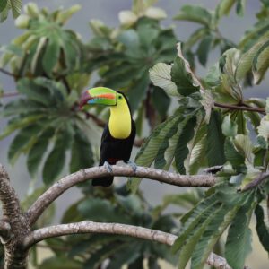 Urlaub Costa Rica