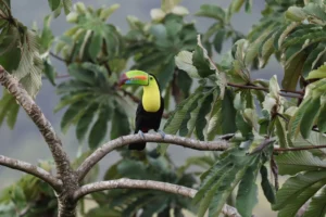 Urlaub Costa Rica