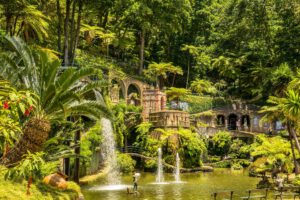 Erlebnissreise Madeira
