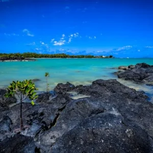 Mauritius Türkis
