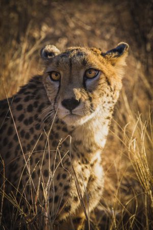 Namibia Urlaub