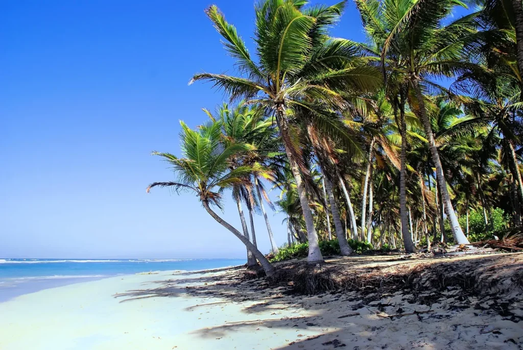 Dominikanische Republik, Punta Cana Paradies