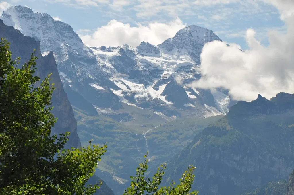 Jungfraujoch mit schneebedeckten Gipfeln und grüner Waldlandschaft