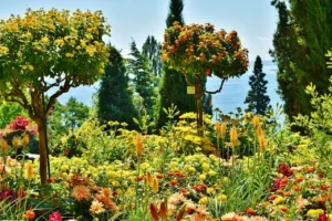 Blumeninsel Mainau Ausflug