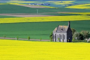 Nationalpark Eifel Wandern