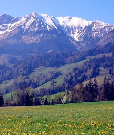 Berner Oberland mit grünen Wiesen, Alpenpanorama und klarem Himmel