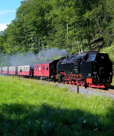 Dampflok im Harz fährt durch grünen Wald mit Blick auf das Mittelgebirge