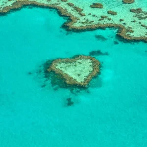 Great Barrier Reef Great Barrier Reef Schnorcheln tropische Fische