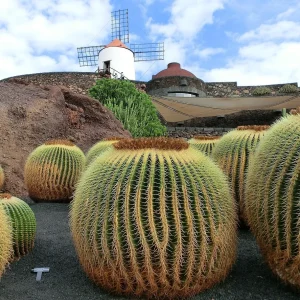 Lanzarote Urlaub Lanzarote Urlaub