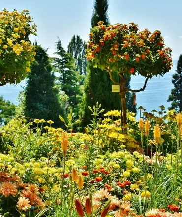 Blumeninsel Mainau Ausflug