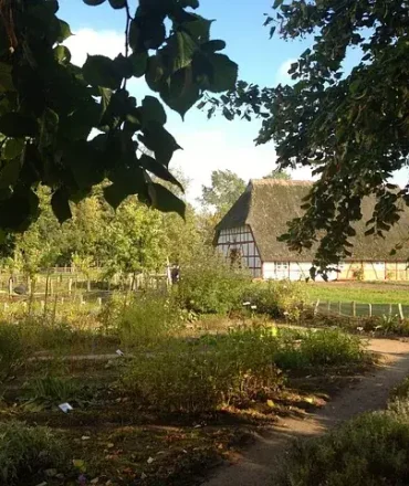 Urlaub Ostdeutschland. See mit Ufervegetation und Gebäude in der Mecklenburgischen Seenplatte