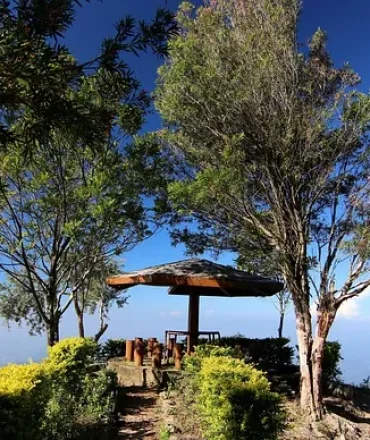 Holzplattform mit Blick auf grüne Landschaft unter blauem Himmel – Sri Lanka Kombireise mit Rundreise und Strandurlaub