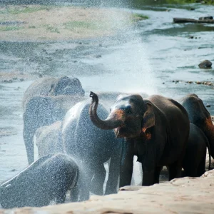 Sri Lanka Urlaub