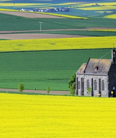 Nationalpark Eifel Wandern. Gelbes Feld mit Kapelle vor grünen Hügeln in der Eifelregion