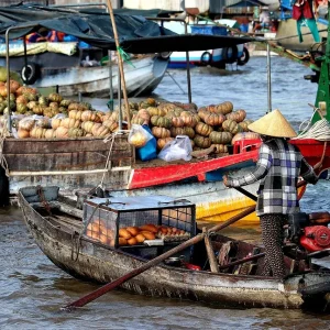 Vietnam, Markt, Mekong Vietnam, Markt, Mekong