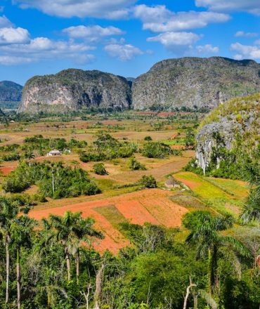 Kuba Rundreise. Grüne Felder, Palmen und Kalksteinfelsen im Viñales-Tal unter leicht bewölktem Himmel – Naturwunder und Tabaklandschaft im Westen Kubas.