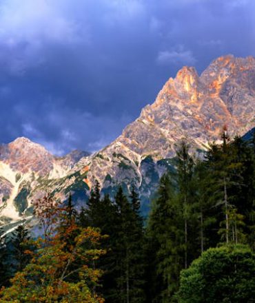 pexels-bru-no-1461038